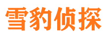 宜宾市侦探调查公司